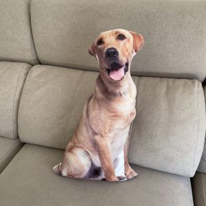 Cojín Labrador Retriever