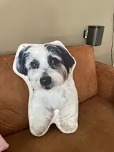 Click to view full screen Cojín Perro Personalizado photo review